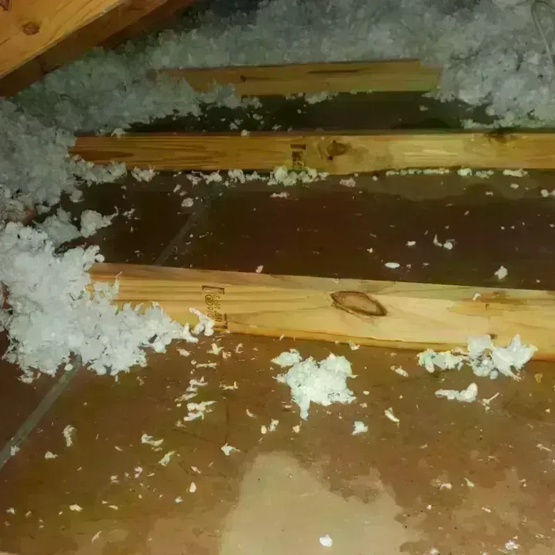 Attic Water Damage in Fellsmere, FL